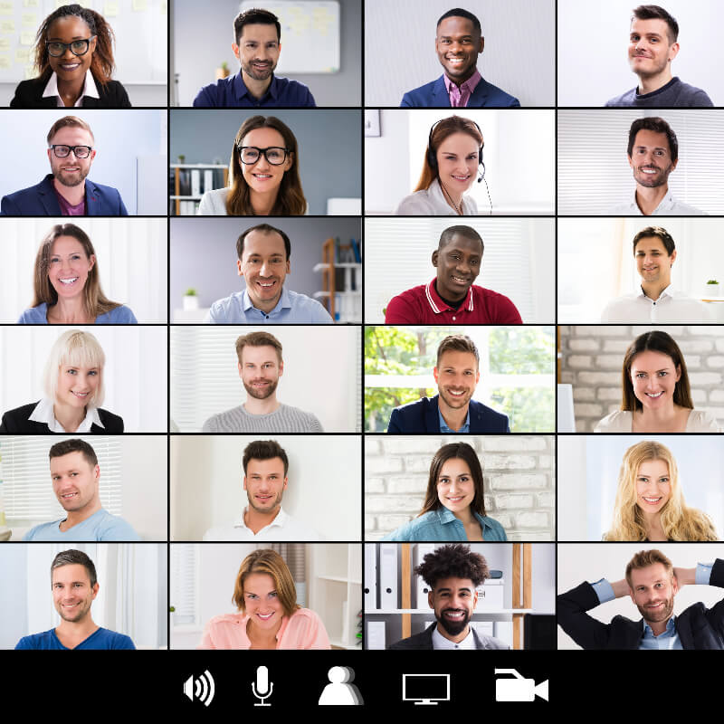 Virtual meeting with multiple participants